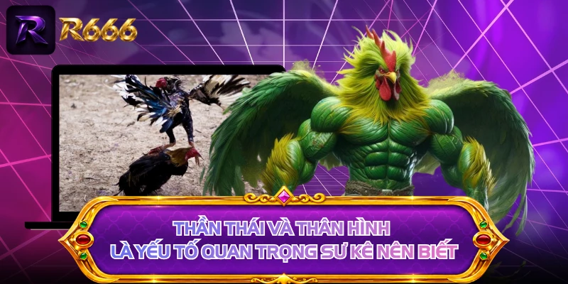 Thần thái và thân hình là yếu tố quan trọng sư kê nên biết